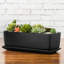 Pot Planter