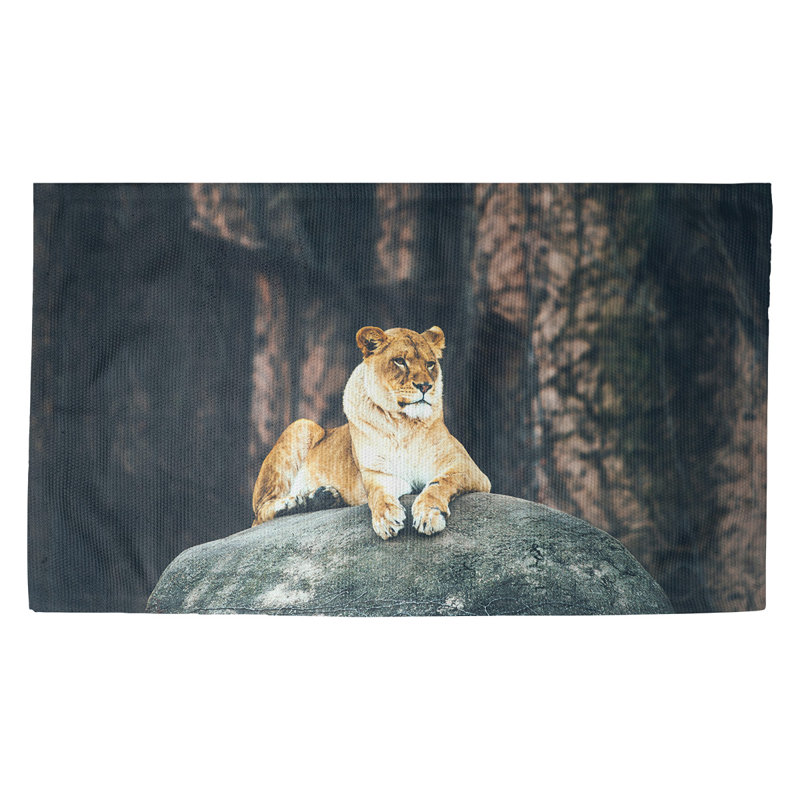 Tapis de porte d’intérieur lioness Hagler, Rectangulaire 2 pi 1,5 po x 3 pi 4 po