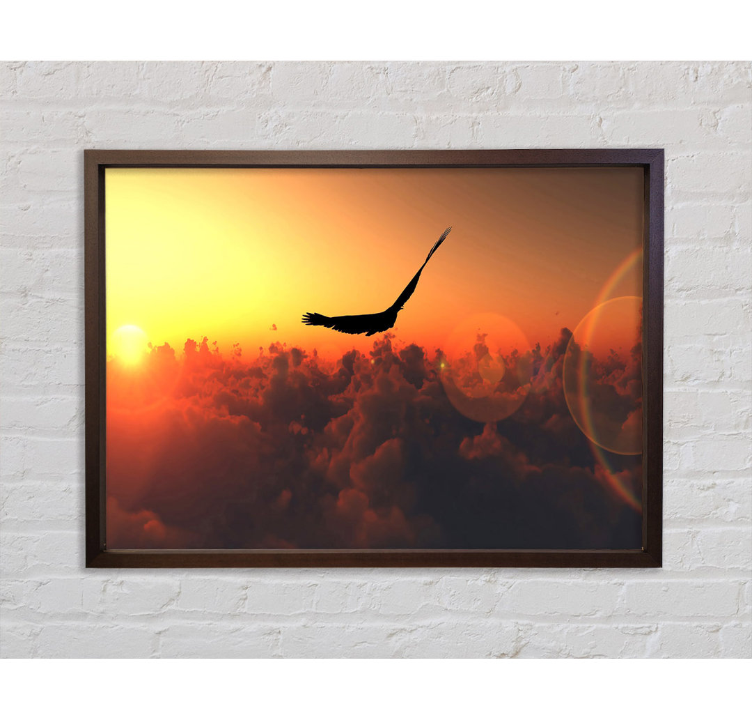 Eagle Flying In The Burnt Orange Sky - Einzelbildrahmen Kunstdrucke auf Leinwand