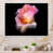White Floater Frame