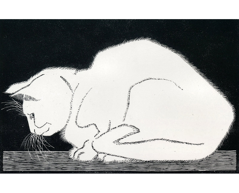 «White Cat» par M.C.Escher, toile tendue avec châssis, H 13 po x l 18 po