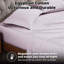 Taie d'oreiller en mélange de coton égyptien 400 fils Luxor Treasures-237004045-175140162