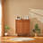 Nordic Cherry Wood Shoe Cabinet 12 Pair Shoe Storage Cabinet
