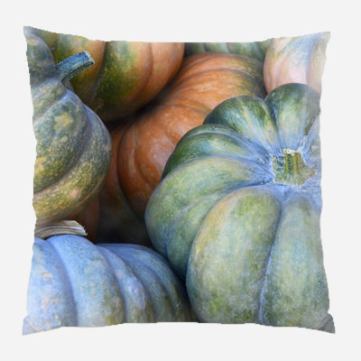  Pumpkin Indoor/Outdoor Throw Pillow