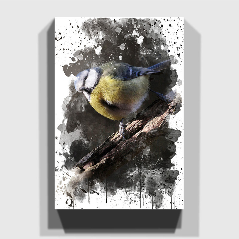 Blue Tit Bird - Wall Art, 50cm H x 35cm W, Wrapped Canvas