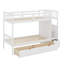 Lit superposé, lit inférieur convertible, tablettes et tiroirs de rangement-675093323