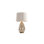 Aishvi Metal Table Lamp