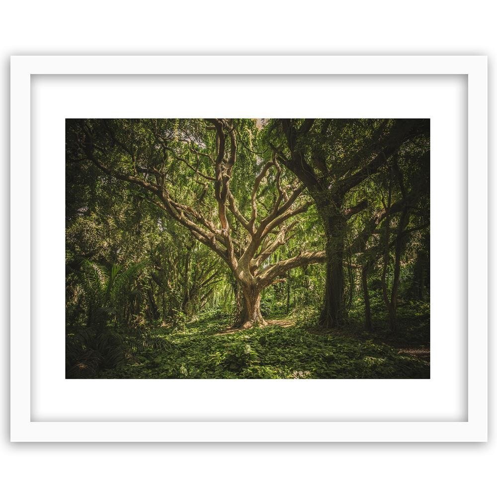 Gerahmtes Poster Großer Baum im Wald