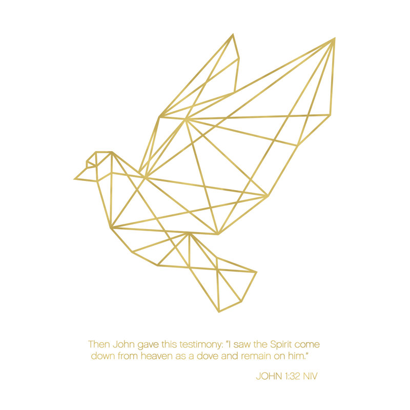 Geometric Dove And John - Wrapped Canvas Print, 76cm H x 76cm W x 3.8cm D