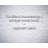 Artsy Quote "I’m like a boomerang, I always come back." By Agyness Deyn Gallery Wrapped Canvas