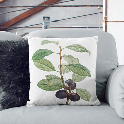 Square Throw Cushion
