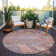 Machine Washable Indoor/Outdoor Chantille ACN1107 Pink Rug