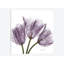 «Tulips III», impression sur toile-29687105-74417576-74417577