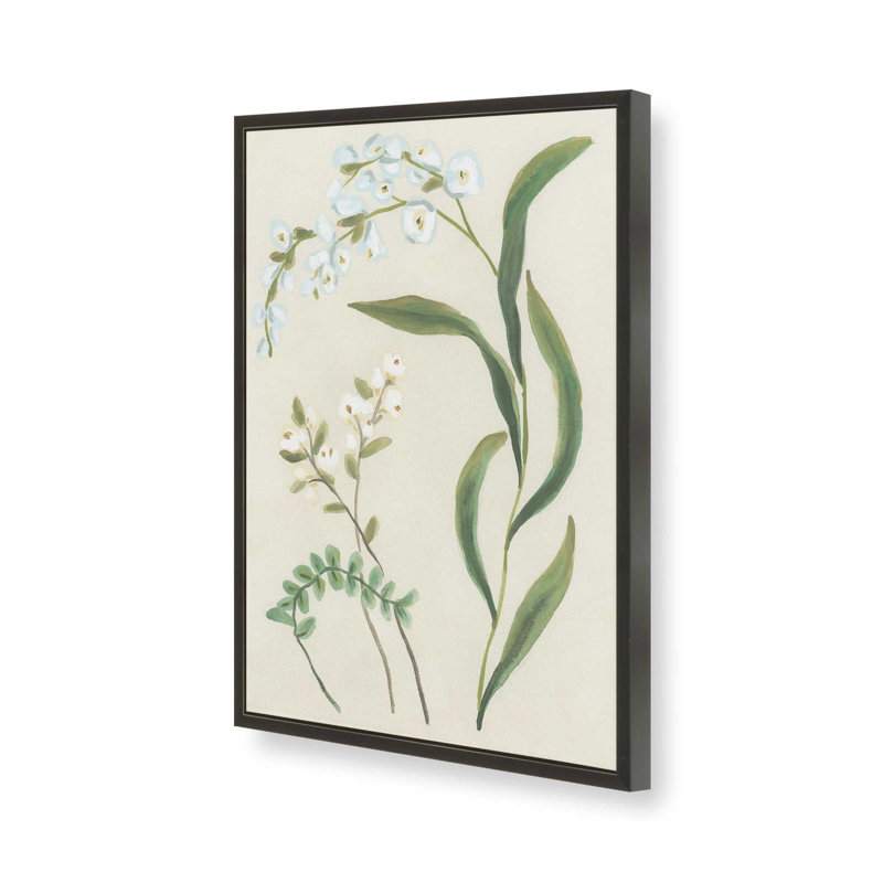 «Snowdrop Stems II» par June Erica Vess, reproduction d'art sur toile, H 24 po x l 18 po, Noir