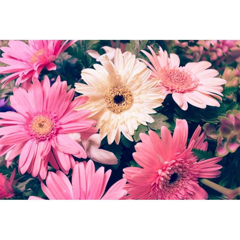 Beautiful Gerbera Flower Blooming by Sutichak - Wrapped Canvas Print, 30cm H x 46cm W x 3.8cm D