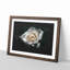 A White Rose - Picture Frame Graphic Art Print-56875871-56875877