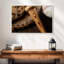 Old Old Baseball Stuff-974575901-974575900