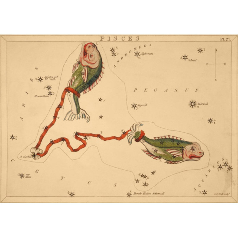 Pisces Print by Grand Archives, Black Framed, 22" H x 31" W