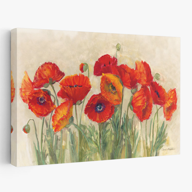 Fleurs - Coquelicots éclatants, H 16 po x l 24 po
