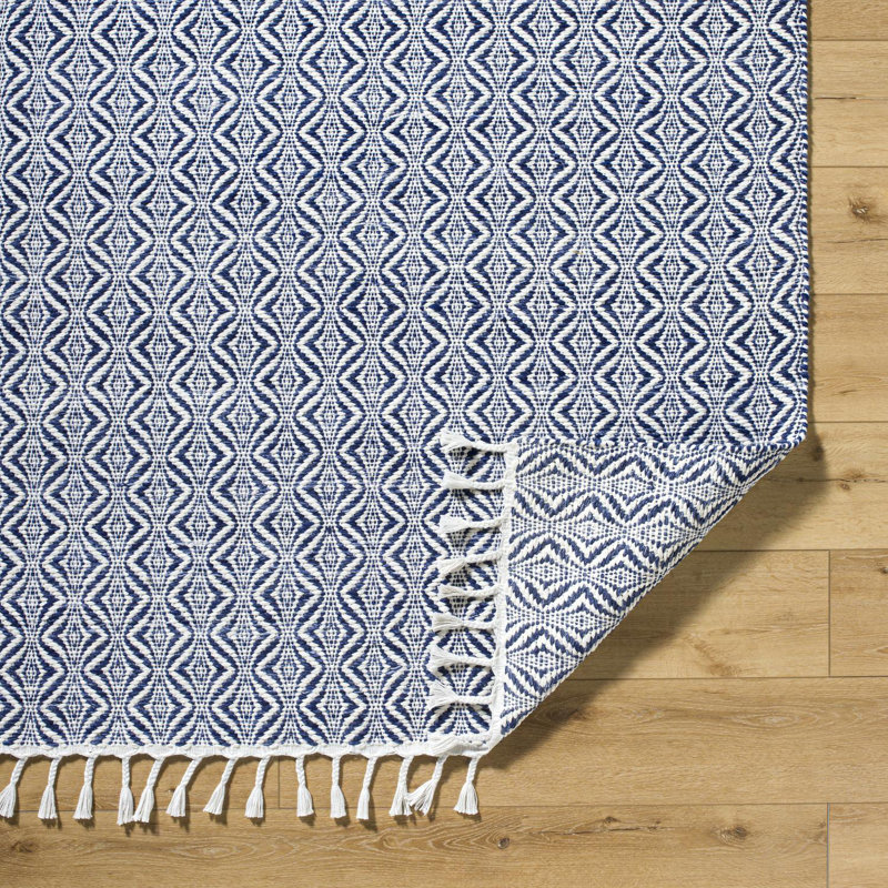 Bhaktivinod Hand Woven Area Rug, Runner 2'6" x 8'