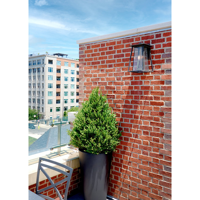Walker 2-Light Outdoor Wall Lantern, Incandescent, Buckeye Bronze/Yellow