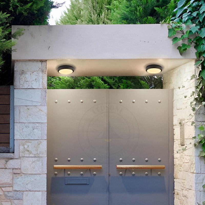 Bhanupriya Black 22cm H Integrated LED Outdoor Flush Mount