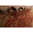 One-of-a-Kind Rectangle 15'11'' x 26'1'' New Age Rectangle Wool Area Rug in Beige and Red