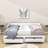 Twin Size 2 Drawers Daybed with Trundle-859160164