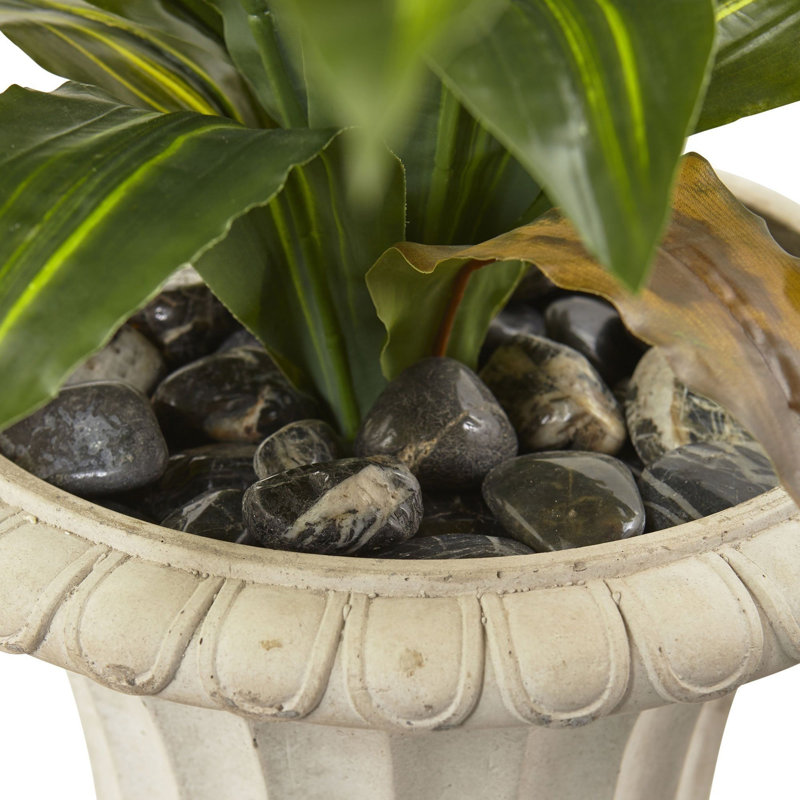 Dracaena Artificial Plant with Urn