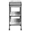 Northport Metal Bar Cart