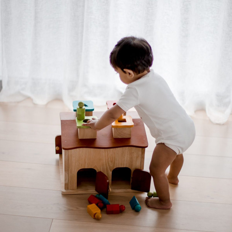 Sorting Cottage Play house