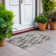 Maliana Flatweave Washable Geometric Indoor / Outdoor Rug