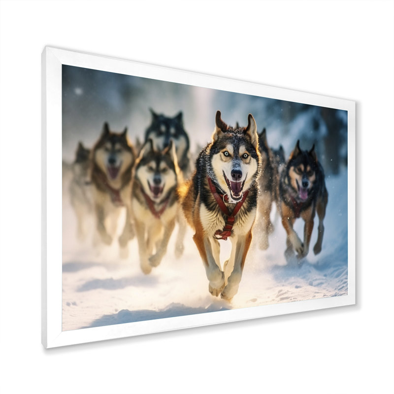 Alaska Dog Sledding I - Animals Canvas Wall Art, 16" H x 32" W x 1" D, White Picture Framed