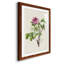 «Pretty Botanicals V», cadre photo-2143446278-2143446296
