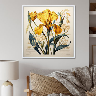 Iris jaune, illustration rétro