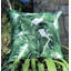 Tropics Square Indoor/Outdoor Pillow Cover & Insert-38521440