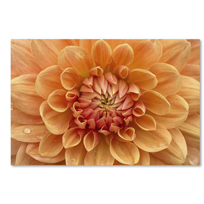 Wrapped Canvas Wall Art - Cora Niele 'Orange Dahlia' Wall Art for Living Room, Bedroom, or Office Décor - 12x19