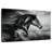 Brampt Thoroughbred-106052296