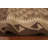 Wool Oriental Rug