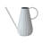 Metal Watering Can and
