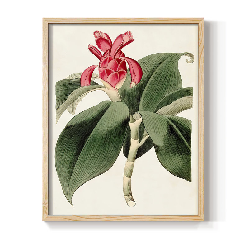 FloraOf TheTropicsI, reproduction encadrée - bois massif, H 30 po x l 24 po
