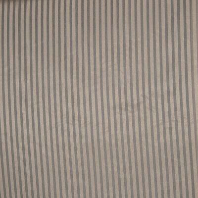 Whitty Fabric