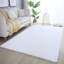 Ambiance Hand Knotted Area Rug-98104274