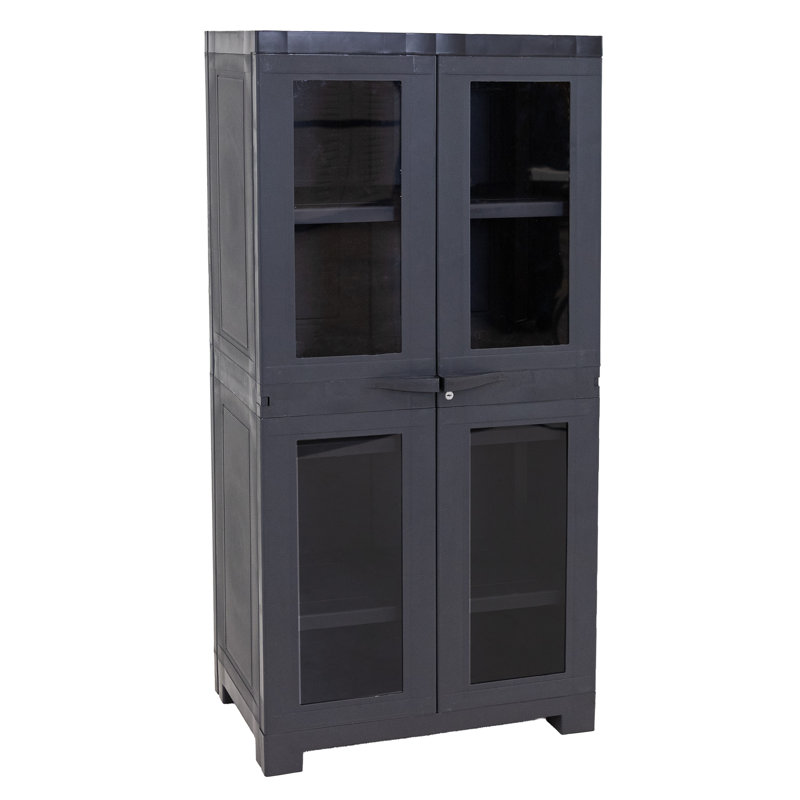 Armoire de rangement avec 3 tablettes réglables et 4 fenêtres - gris anthracite