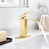 Brushed Gold est en rupture de stock