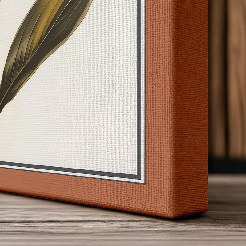 Golden Daffodil Study Botanical - Wrapped Canvas, 36x24 - 91.4 x 61.0 cm, Terracotta Border