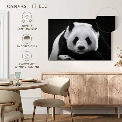 Panda sérieux Brampt