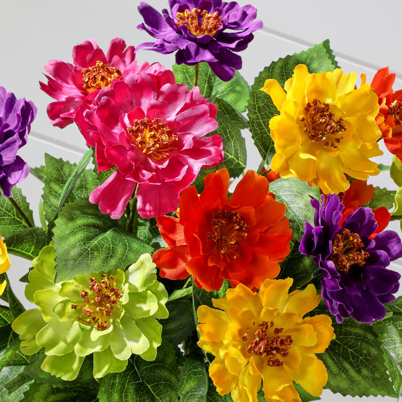 Mixed Zinnia Bush