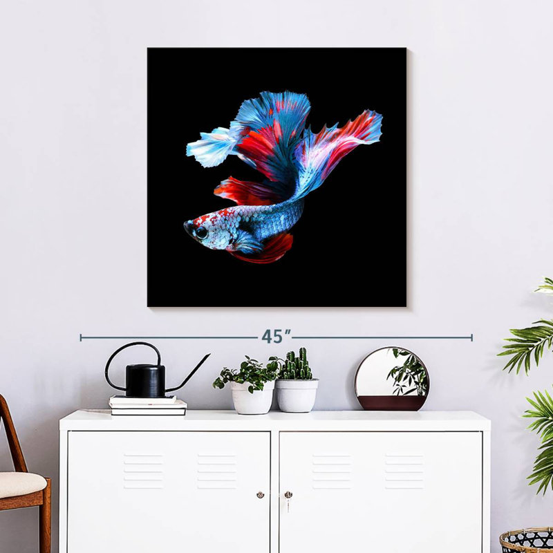 Brampt Elegant Betta Fish, 30" H x 30" W