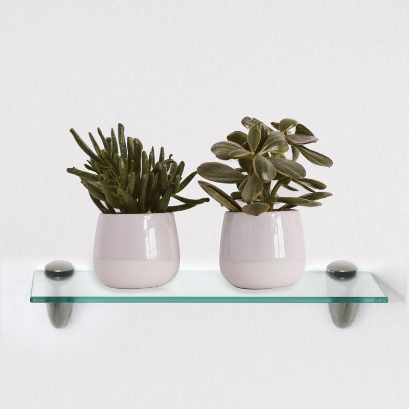Glass Bracket Shelf with Adjustable Shelves